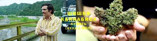стаф Абдулино