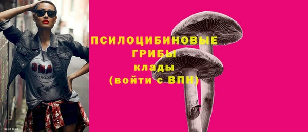 ГАЛЛЮЦИНОГЕННЫЕ ГРИБЫ Абаза