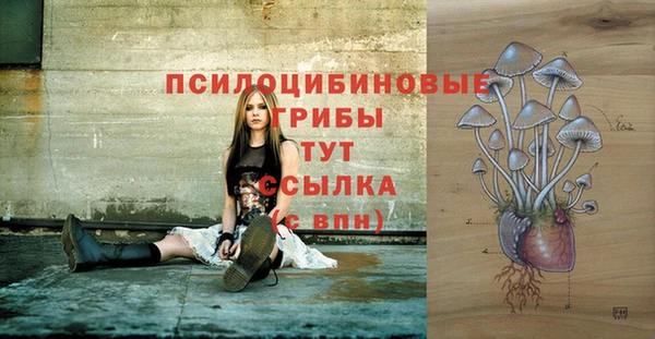 стаф Абдулино