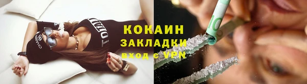 ГАЛЛЮЦИНОГЕННЫЕ ГРИБЫ Абаза