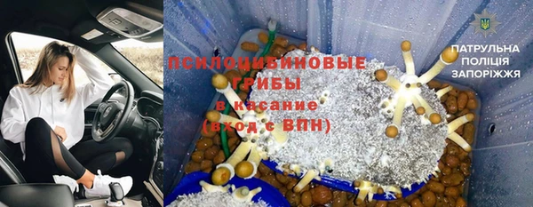 стаф Абдулино