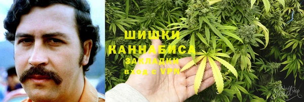 ГАЛЛЮЦИНОГЕННЫЕ ГРИБЫ Абаза
