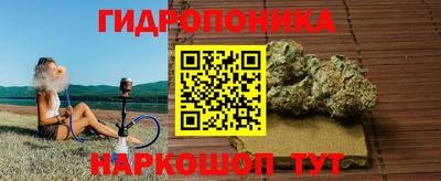 альфа пвп Ачхой-Мартан