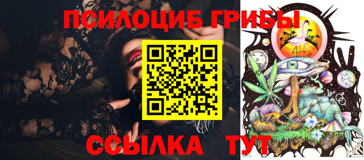 Псилоцибиновые грибы Новочебоксарск