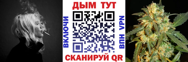 Бошки марихуана гибрид  kraken как войти  Новочебоксарск 